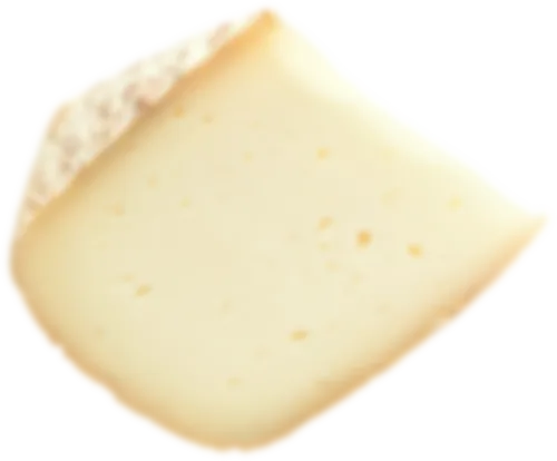 Cheese 2_4