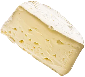 Cheese 5_2