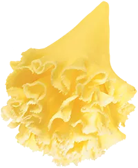 Cheese 2_2