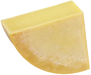 Cheese 2_5