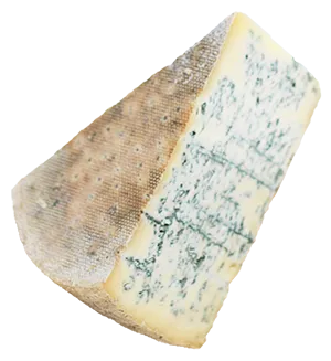 Cheese 3_1