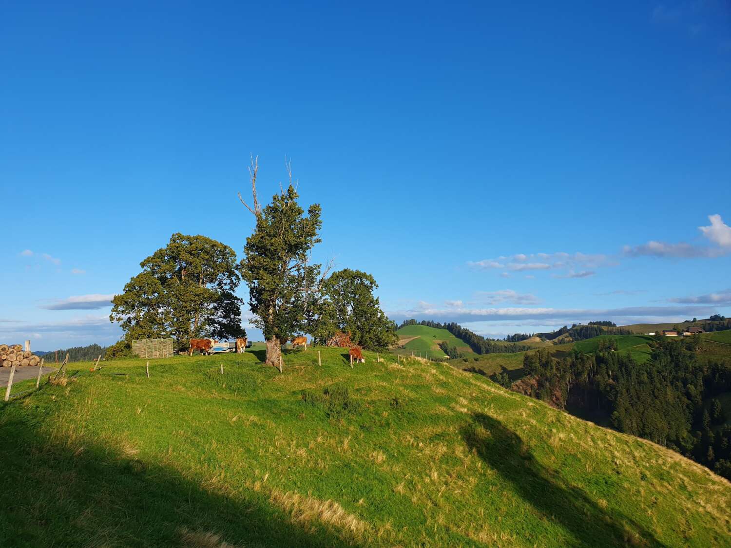 Alpkäserei Ober Styggrat Gohl 04
